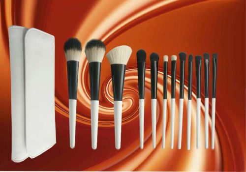 face brush sets